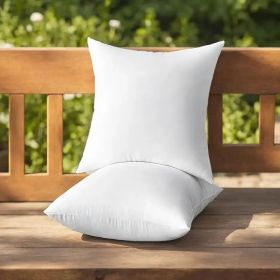 Throw Pillows (Option: W13724783)