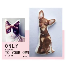 Customize Irregular Pillow Pet Pillow (Option: 70x70-One side)