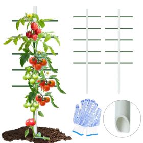 6ft*2ft 2PC  White Round Tube Climbing Trellis, Stylish, Simple, Durable, And Creates A Beautiful Space Filled With Greenery. (Option: 6ft2ft)