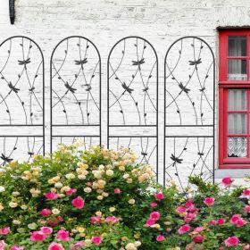 4 Pack Metal Garden Trellis 71" X 19.7" Rustproof Trellis For Climbing Plants Outdoor Flower Support Dragonfly Deco Black (Option: Black)